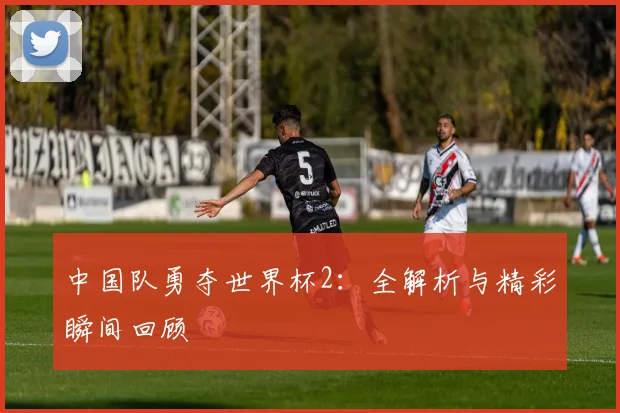 中国队勇夺世界杯2：全解析与精彩瞬间回顾