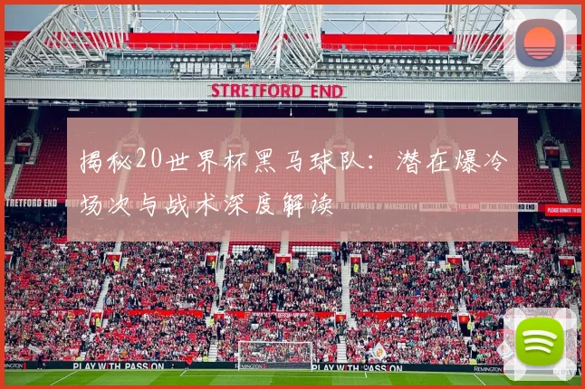 揭秘20世界杯黑马球队:潜在爆冷场次与战术深度解读