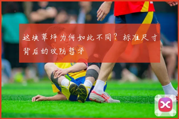 这块草坪为何如此不同？标准尺寸背后的攻防哲学